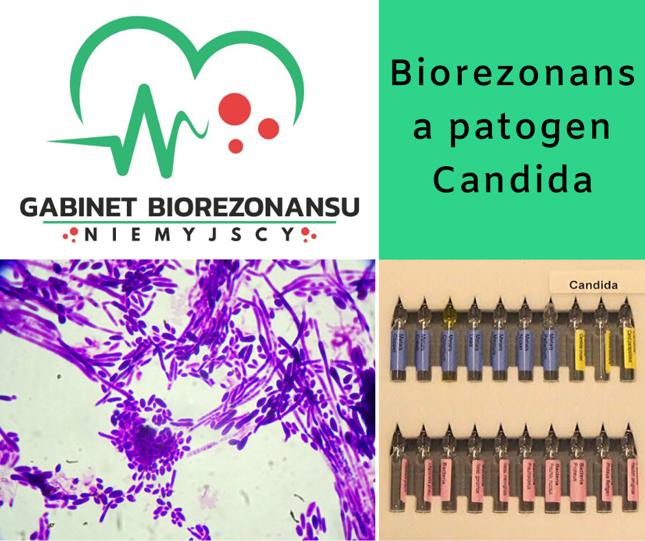 Biorezonans a patogen Candida